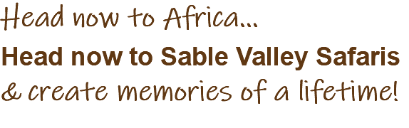 Head now to Africa... Head now to Sable Valley Safaris & create memories of a lifetime!